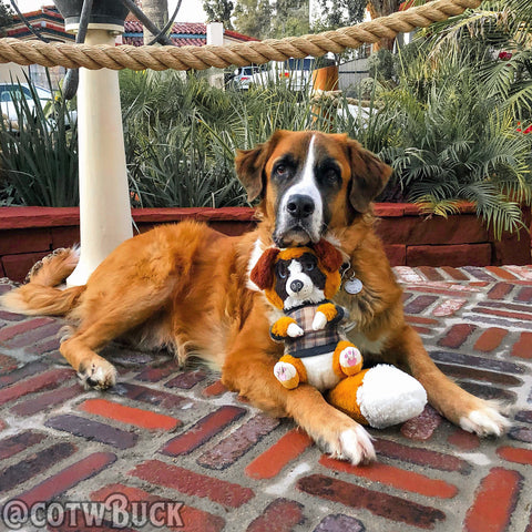 COTW x Snuggle Pups - "Call of the Wild" Buck plush